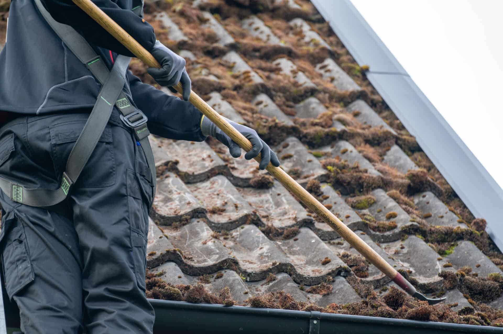 moss removal from roof