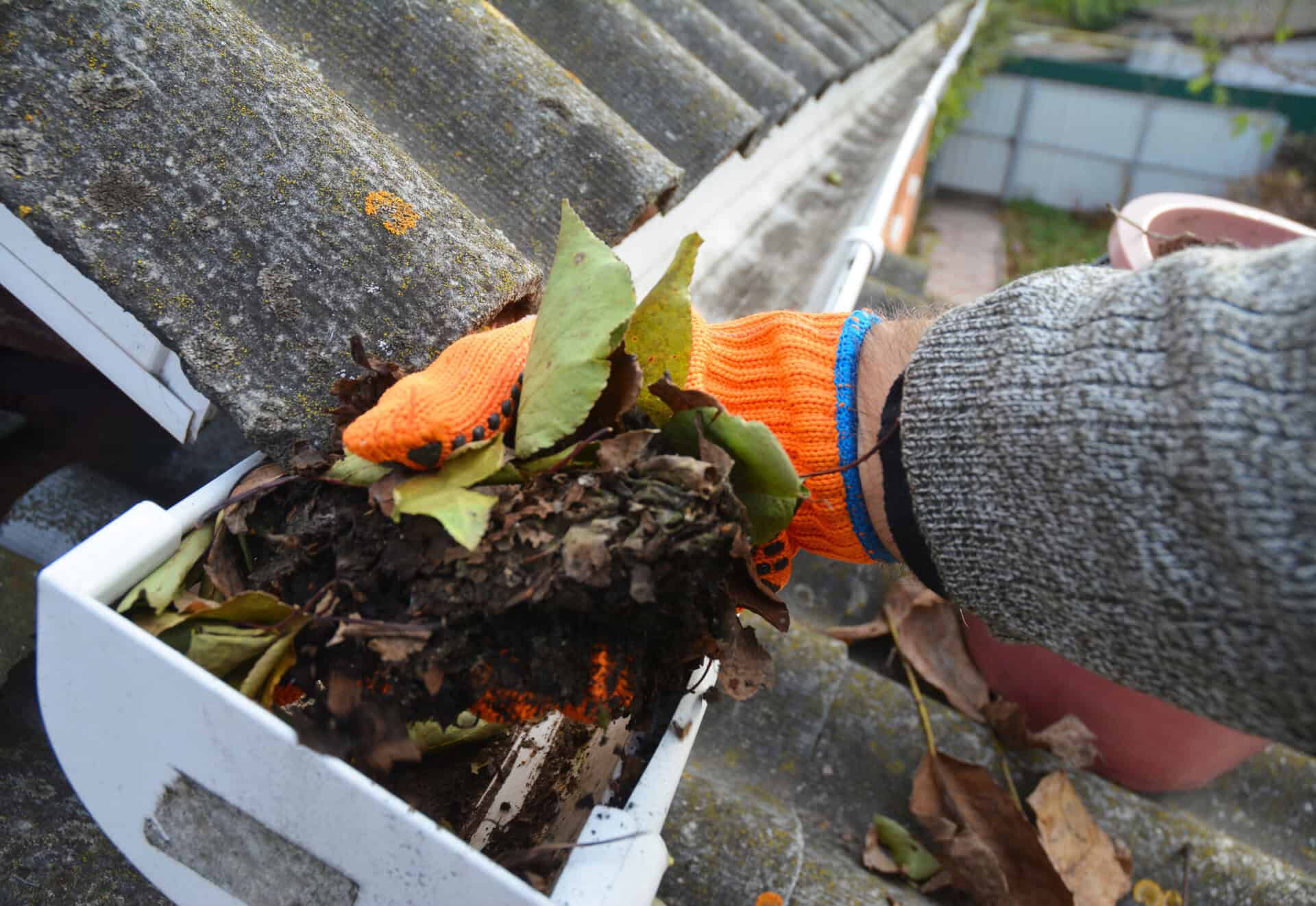 A man is cleaning a clogged roof gutter from dirt, debris and fa